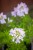 IMG_9831.jpeg