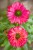 IMG_9895.jpeg