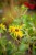 IMG_9889.jpeg