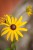 IMG_9888.jpeg