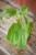 IMG_9882.jpeg