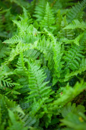 IMG_9841.jpeg