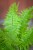 IMG_9840.jpeg