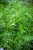 IMG_9838.jpeg