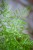 IMG_9837.jpeg