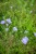 IMG_9851.jpeg