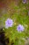 IMG_9849.jpeg