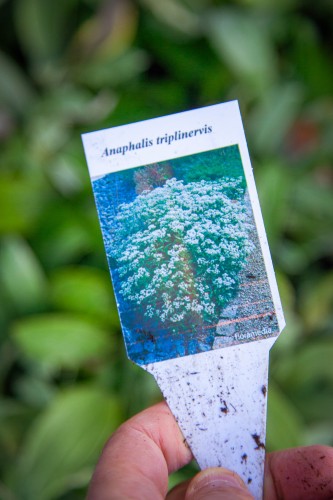 IMG_9861.jpeg
