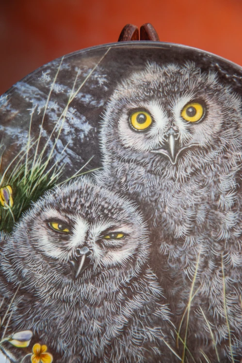 IMG_4608.jpg