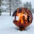 FF261_41.webp
