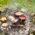 FF240_43.webp