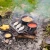 FF240_42.webp
